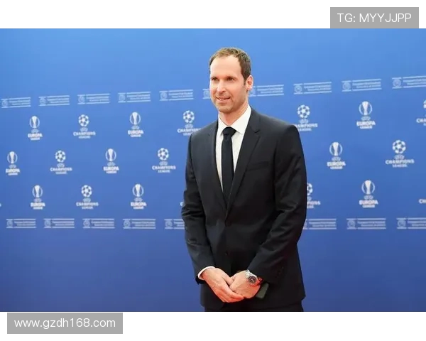 切赫作为英超最佳球员的职业生涯总结