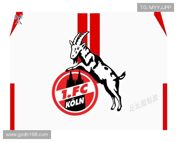 最新德甲球队绰号名单及由来解析