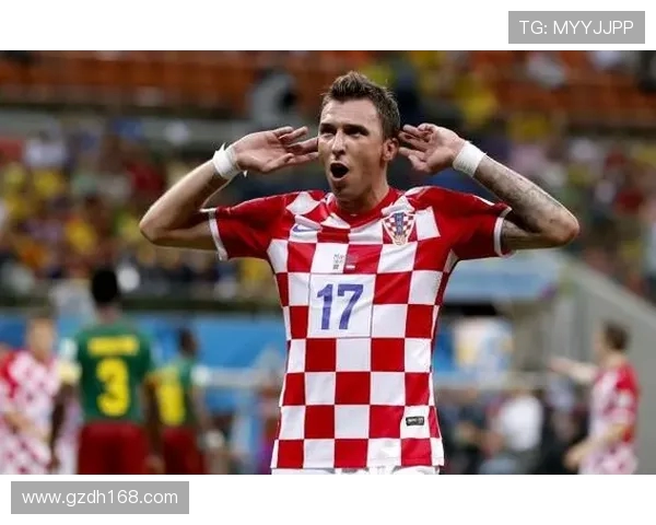 FIFA2010世界杯中文版经典回顾与玩法技巧全解析指南深度