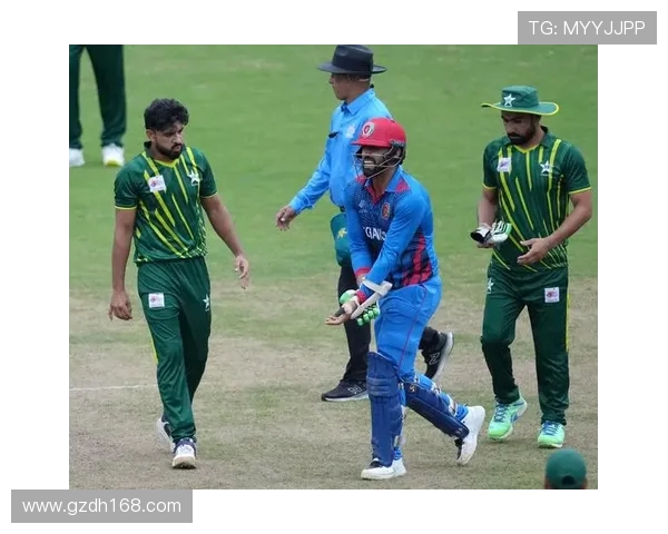 巴基斯坦板球世界杯冠军荣耀与传奇征程全景回顾历史风云与未来展望