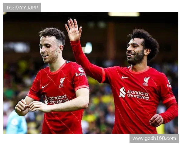 英超球员避税方式分析与合法风险探讨